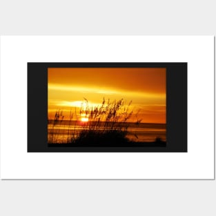 Shades of gold beach sunset Posters and Art